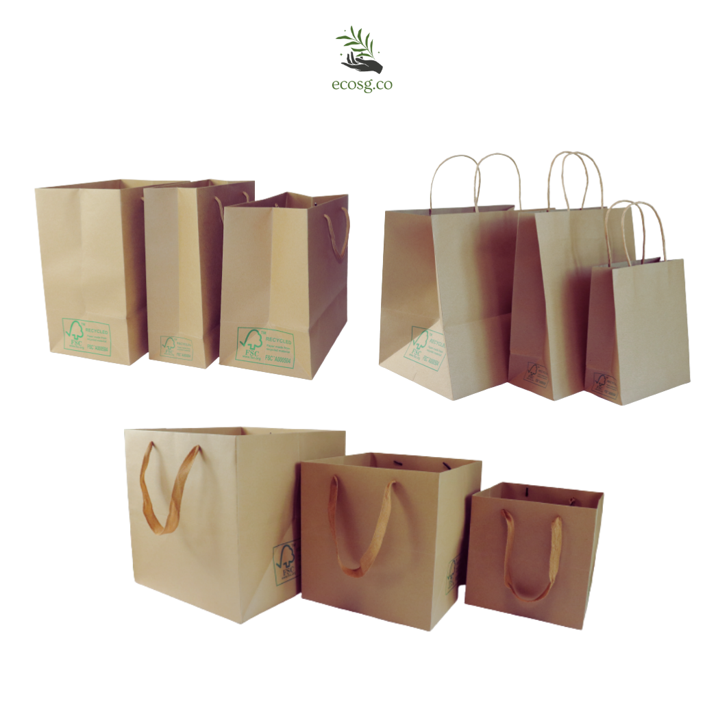 Paper Bags – ECOSG.CO